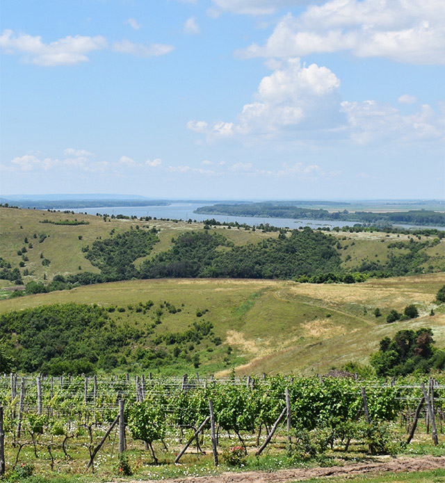 country scene with Danube river